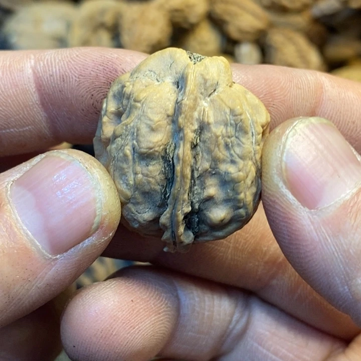 桃核吊坠娜姐真的117