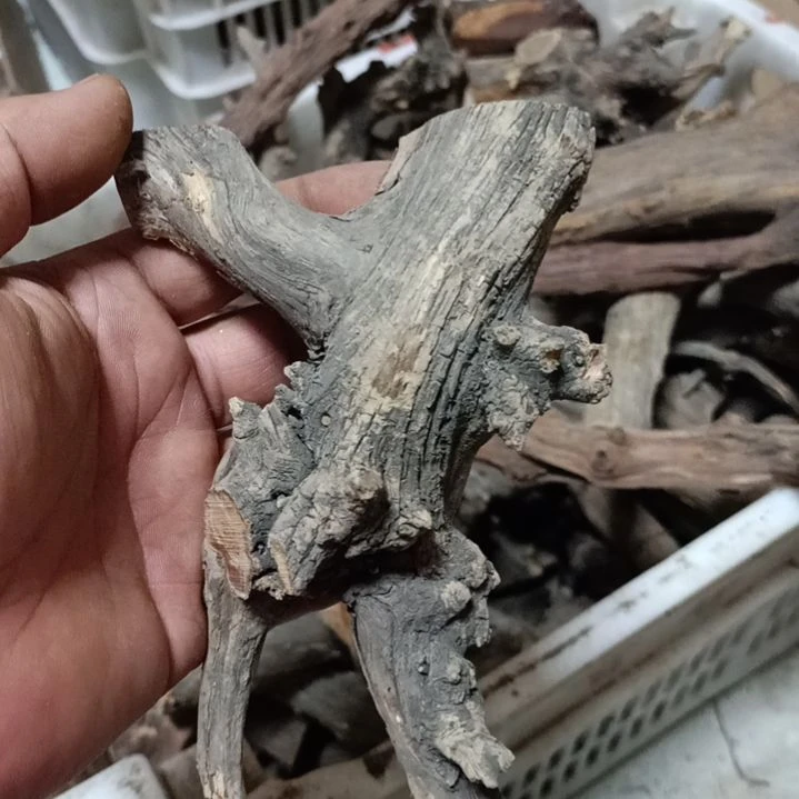 柏木（崖柏）崖柏随行弓毛料