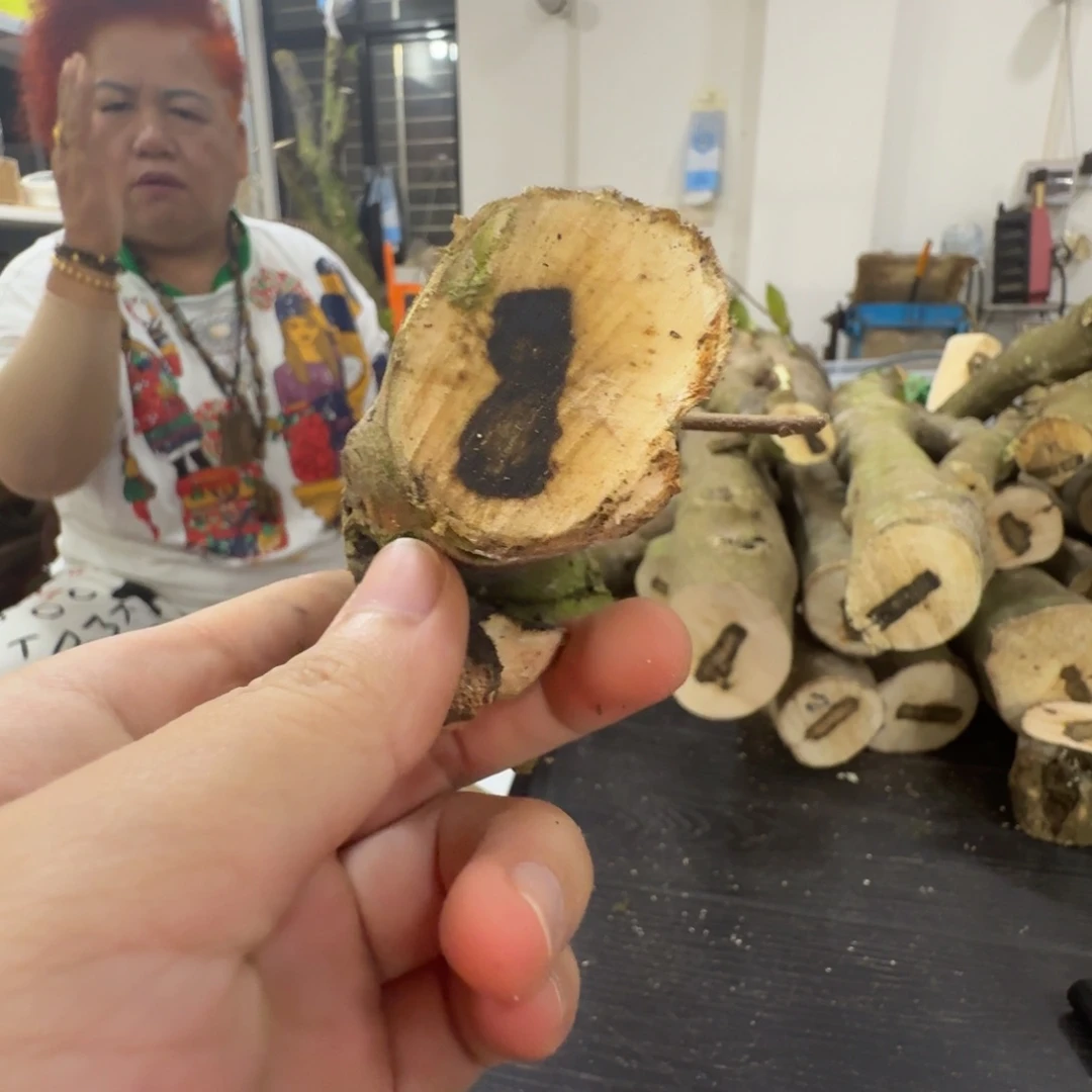 线香奇楠沉香原木