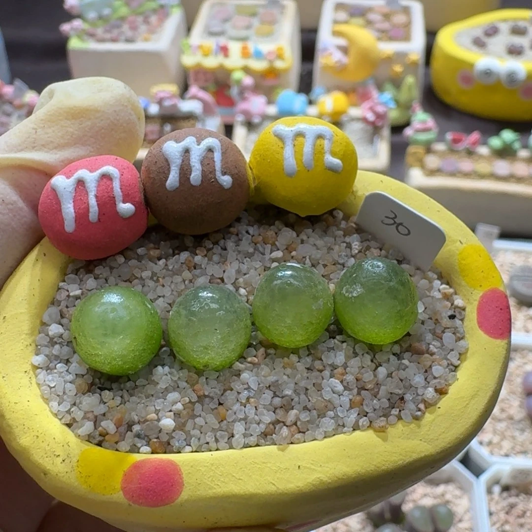 0926-028连盆带花灯泡