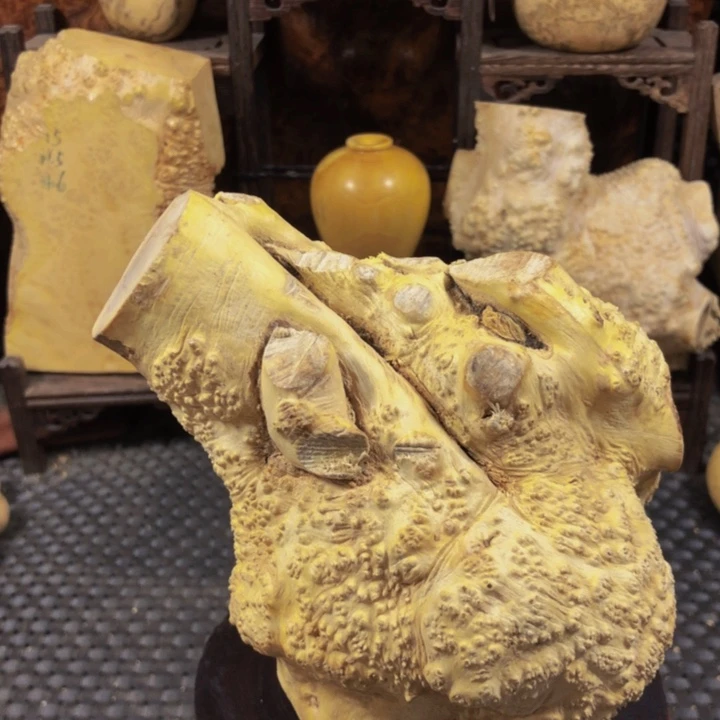 木阿**玩木料木料木料木料