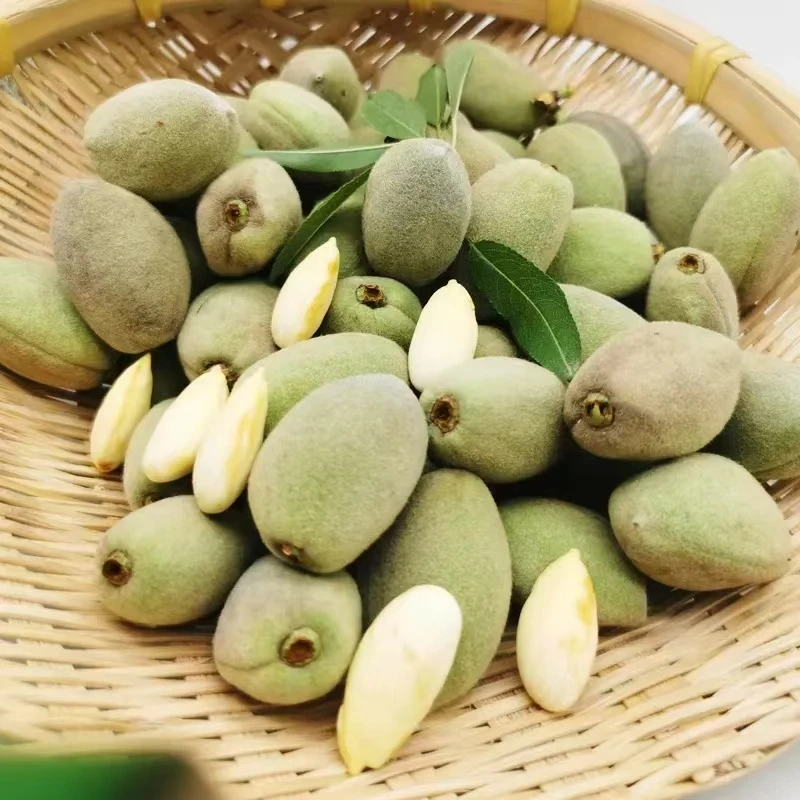 【全国包邮】新疆喀什产地直发～新鲜带皮巴旦木