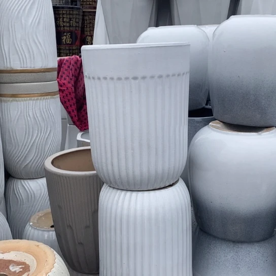 白白盆中口25高31福利