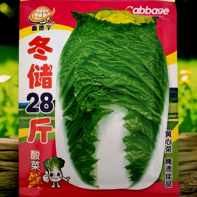冬储28斤白菜籽20斤左右