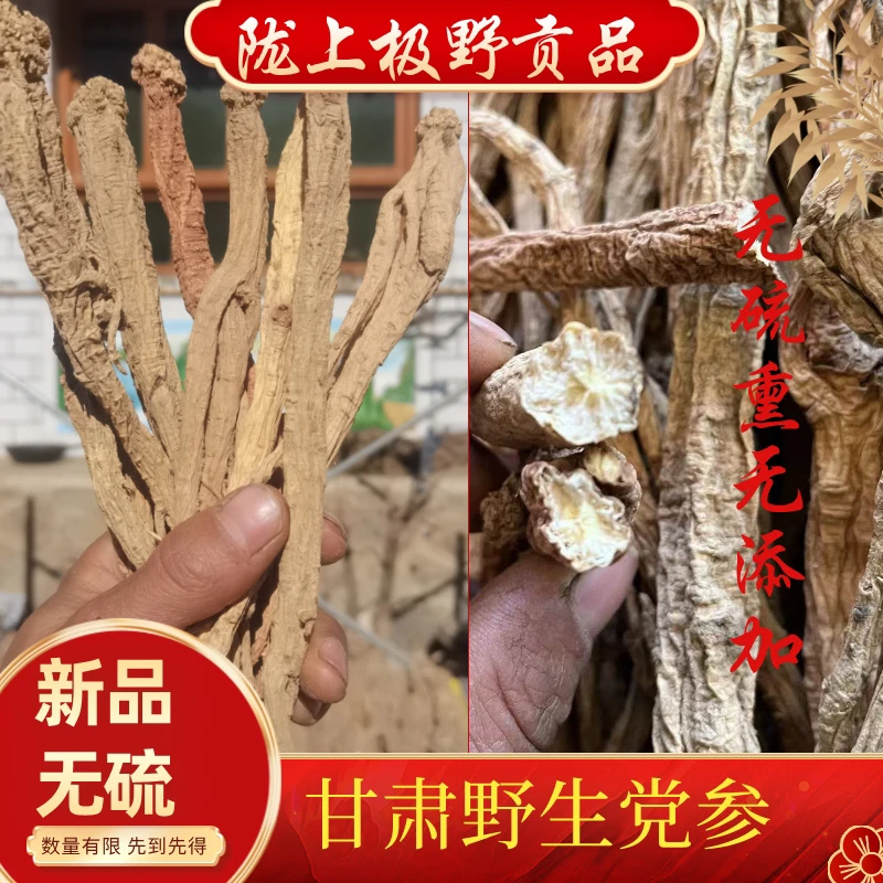 甘肃精选无硫党参干货可用于泡水煲汤滋补养生250克包邮