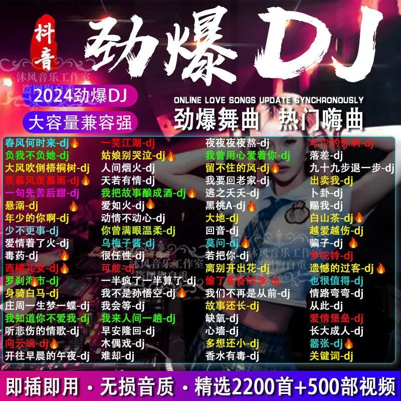 2024歌曲DJ舞曲U盘热门网络流行中文DJ榜单无损音乐车载MP3/4
