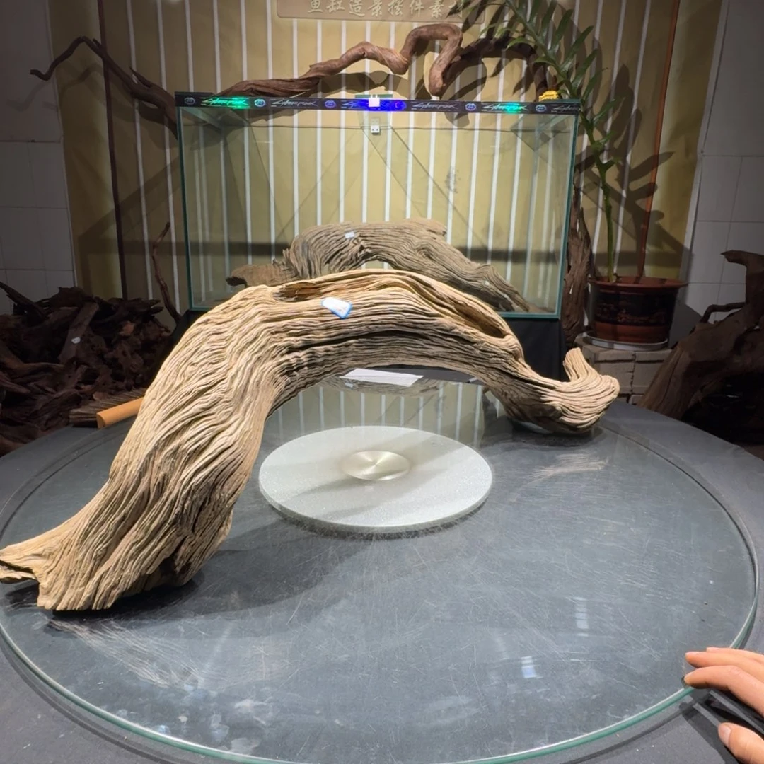 靓***坤一物一拍鱼缸造景