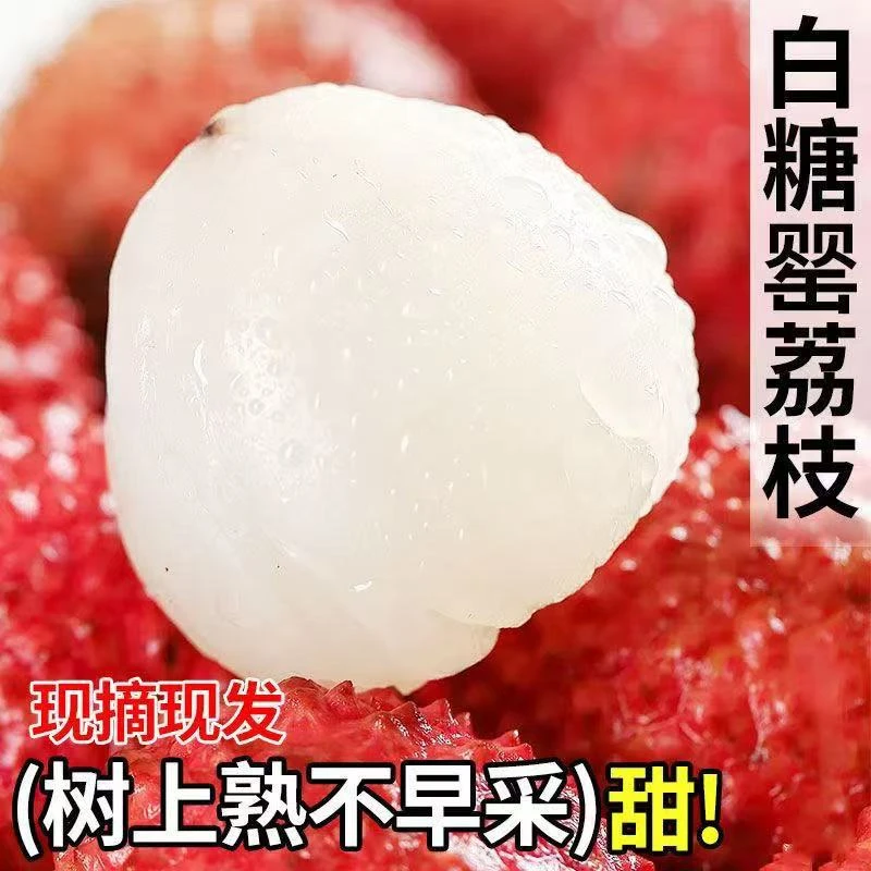正宗白糖罂荔枝现摘现发核小肉多汁多香甜(冷链发货）