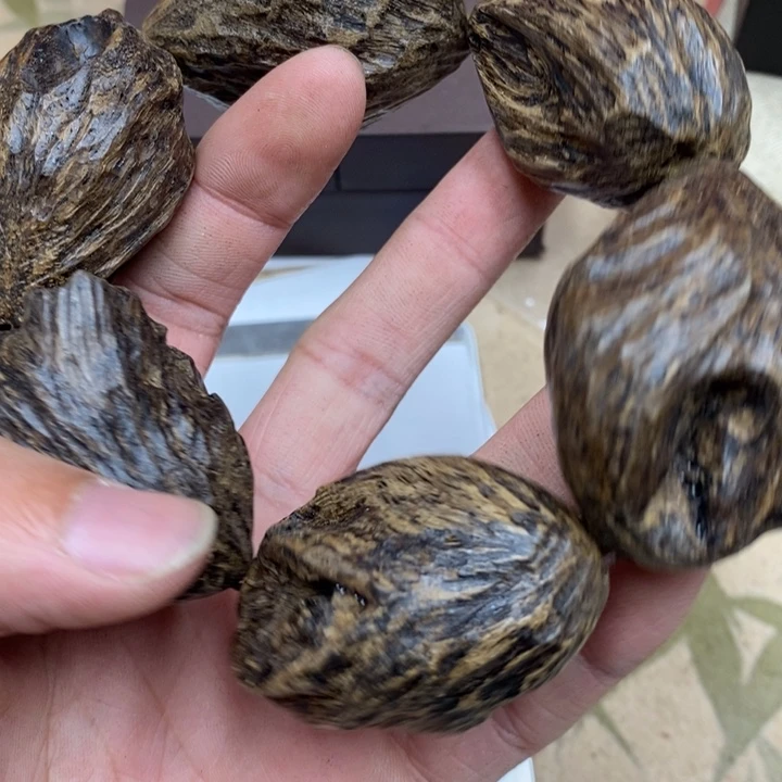 沉香沉香香囊虫漏