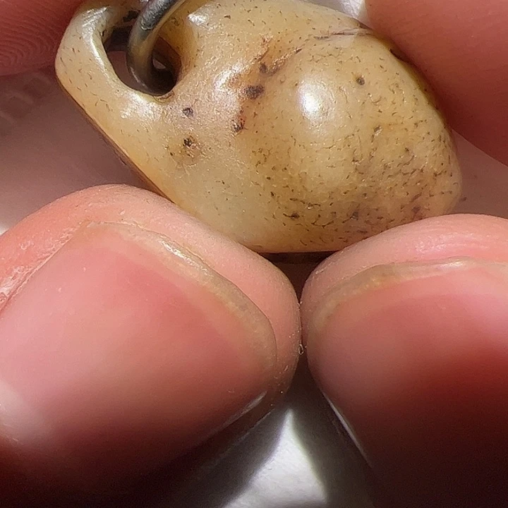 香榧木在这里的时候