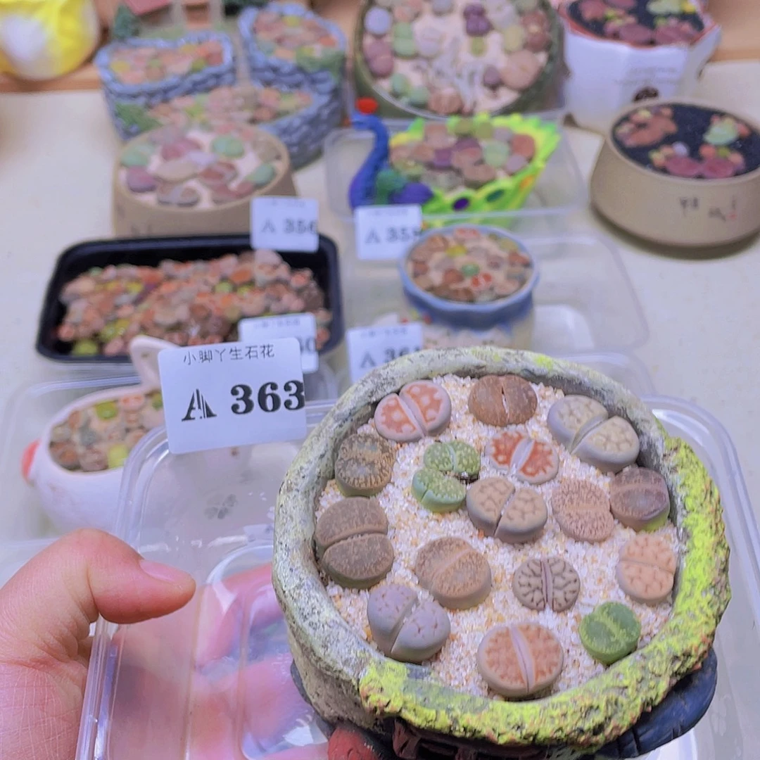 363……开播后的第一个节目是在