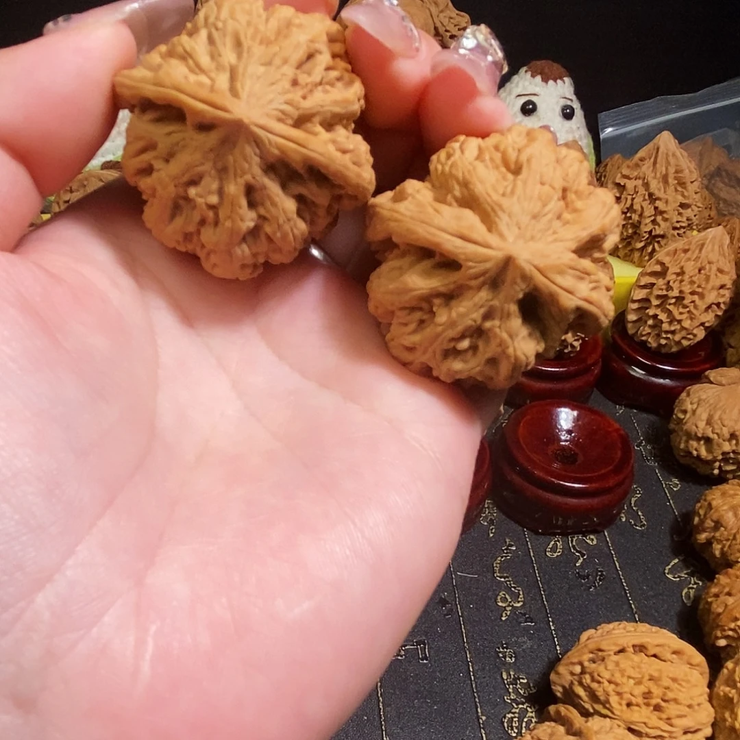 耿***鱼核桃全品无修大粗筋