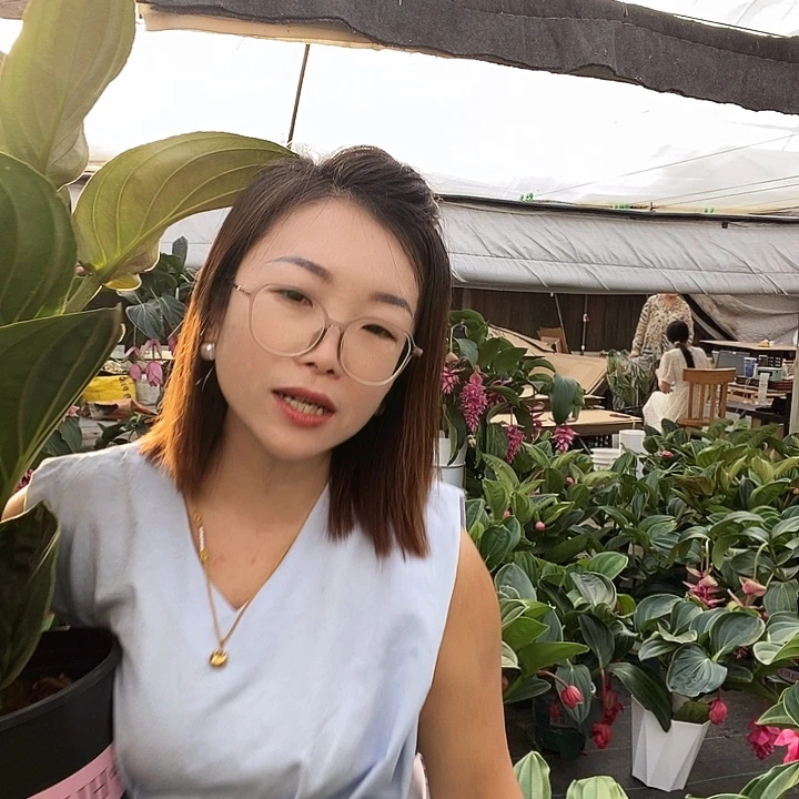 拥***年宝莲灯一物一拍就