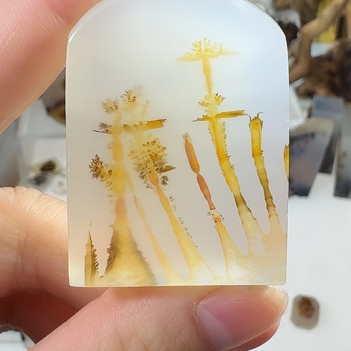 玛瑙/玉髓未镶嵌珠宝奇石