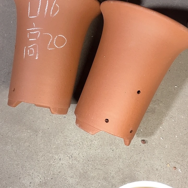 红陶紫砂紫砂紫砂