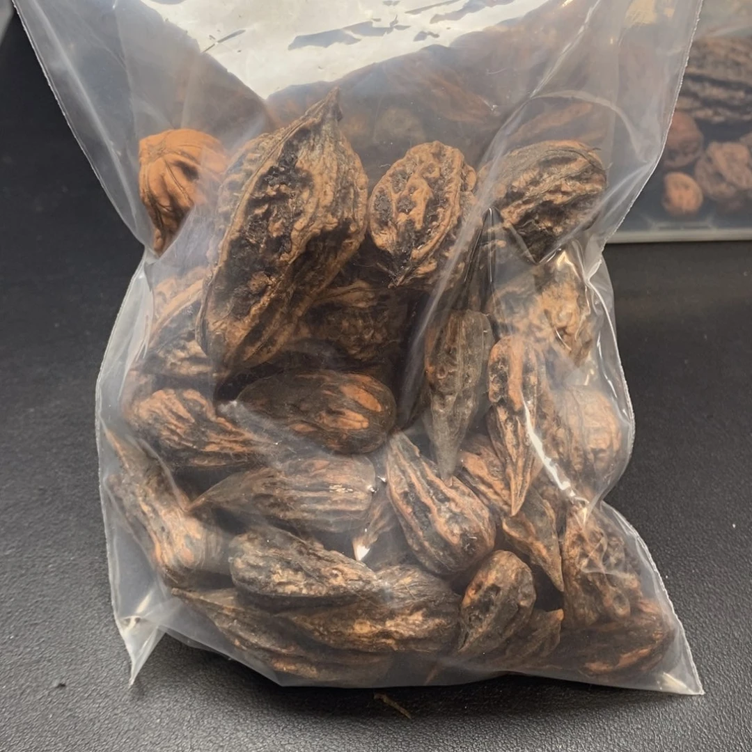 龙***爷吊坠文玩核桃楸核尖商骄家