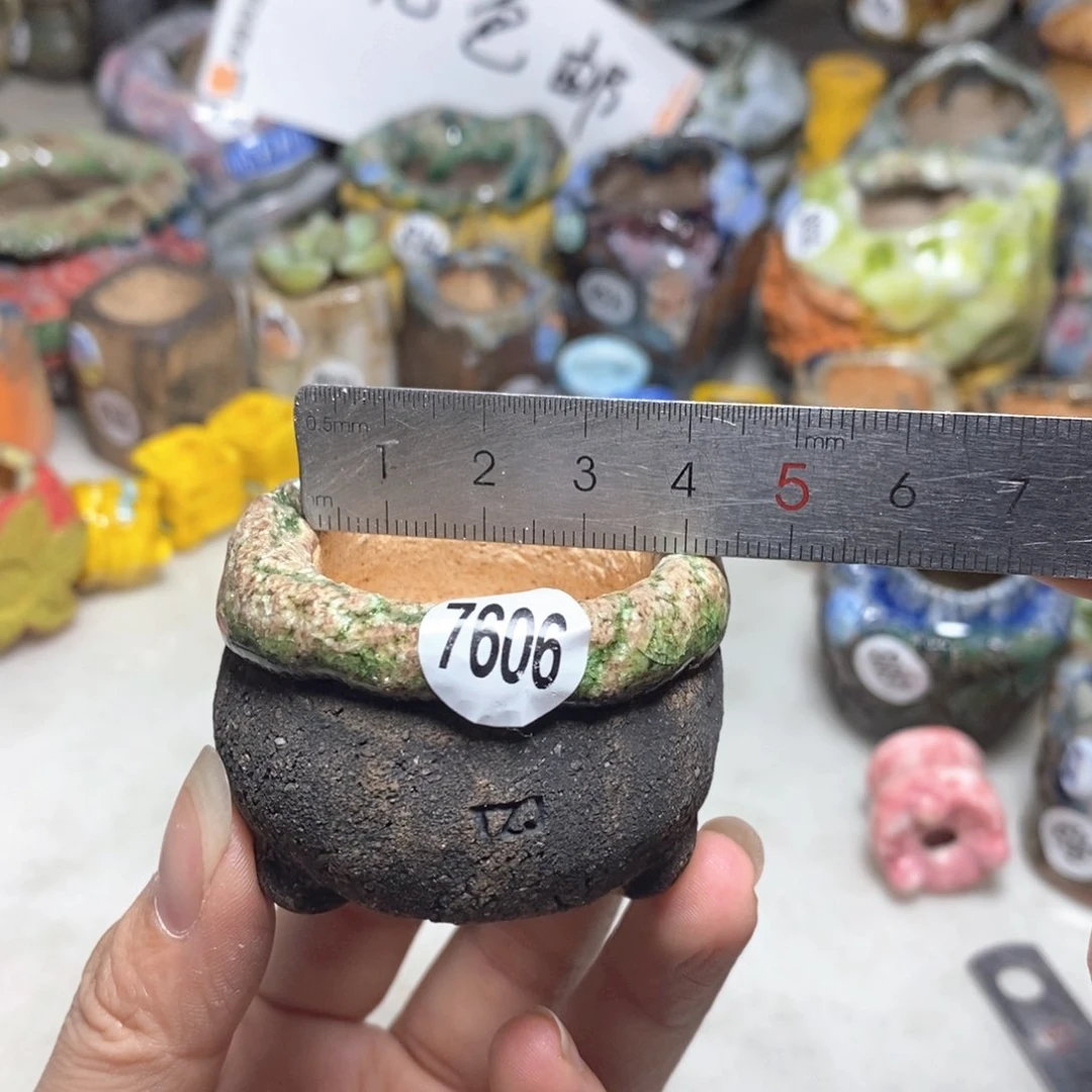 拍3送一个小礼物