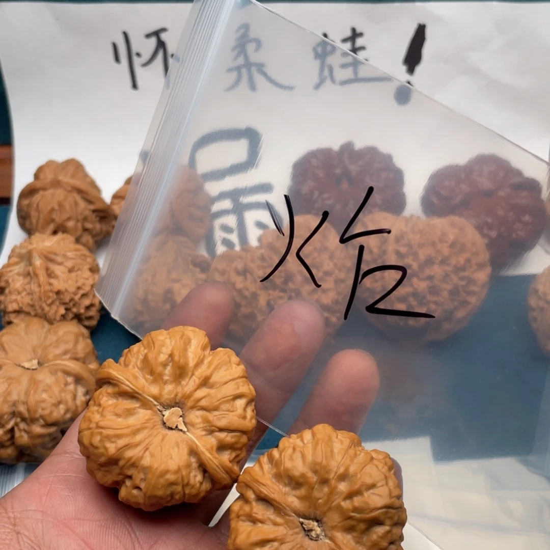 核桃657735573735573573735