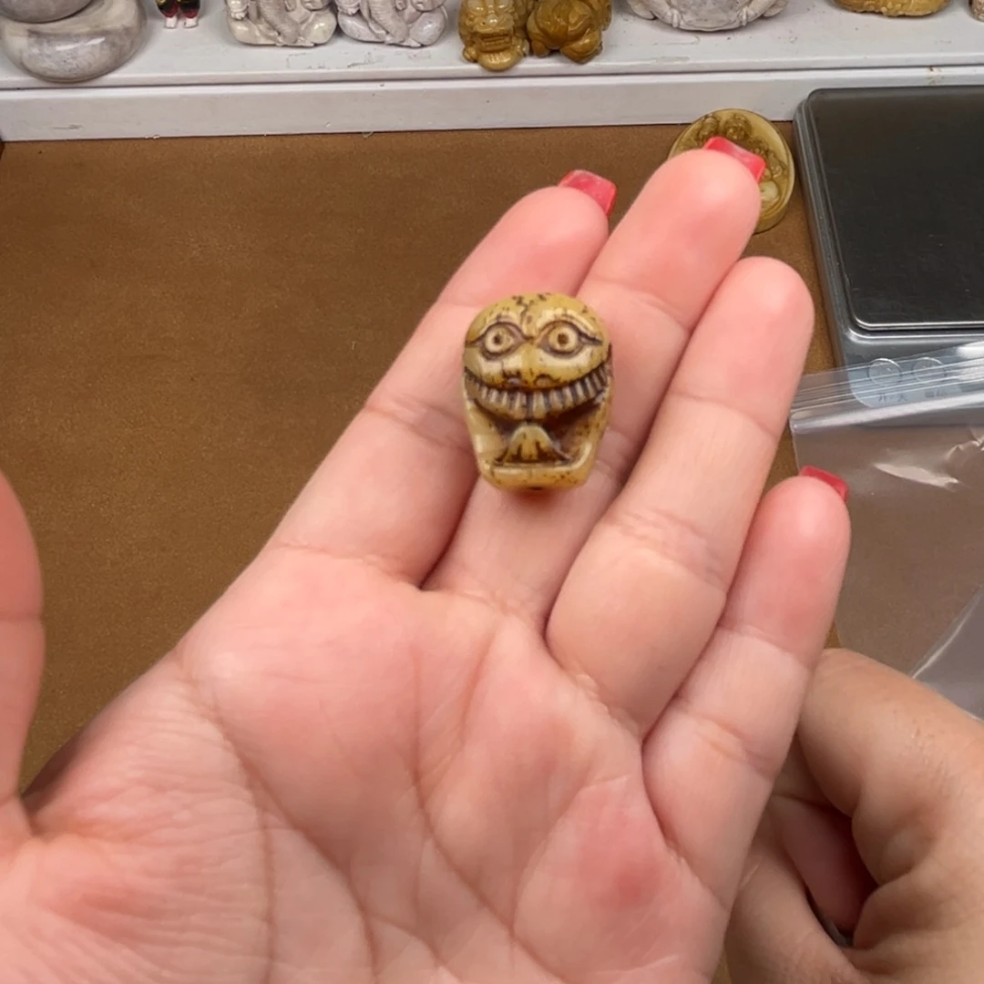 其他驼骨人工养殖驼骨