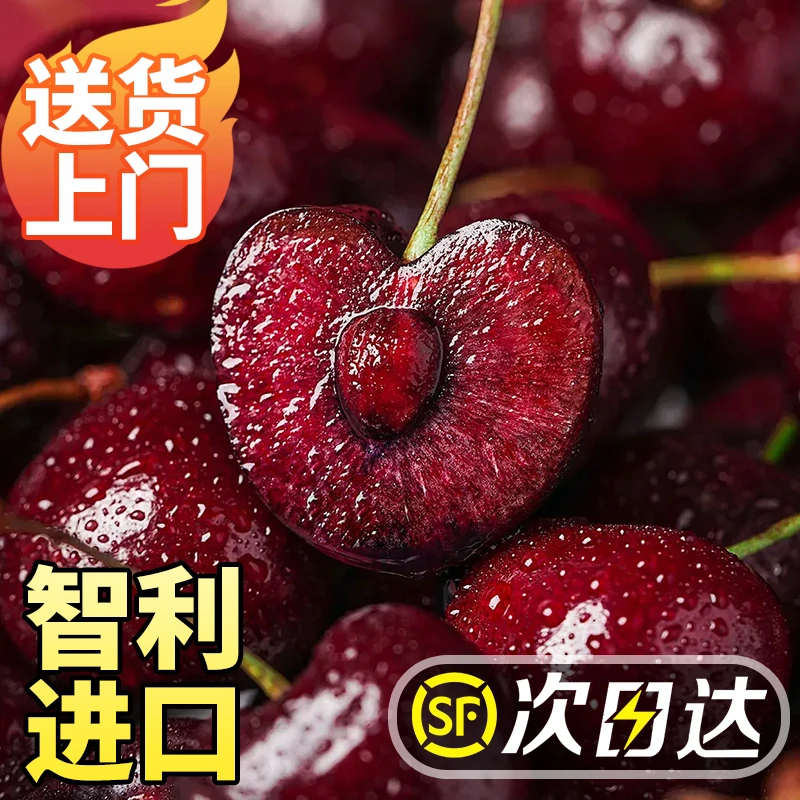 【2J-4J】智利桑提娜海运车厘子 5斤原箱 内附果径卡【顺丰/京东】桑提娜樱桃智利共和国