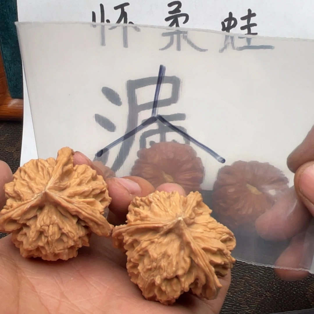 核桃手串/手链753753537735573573