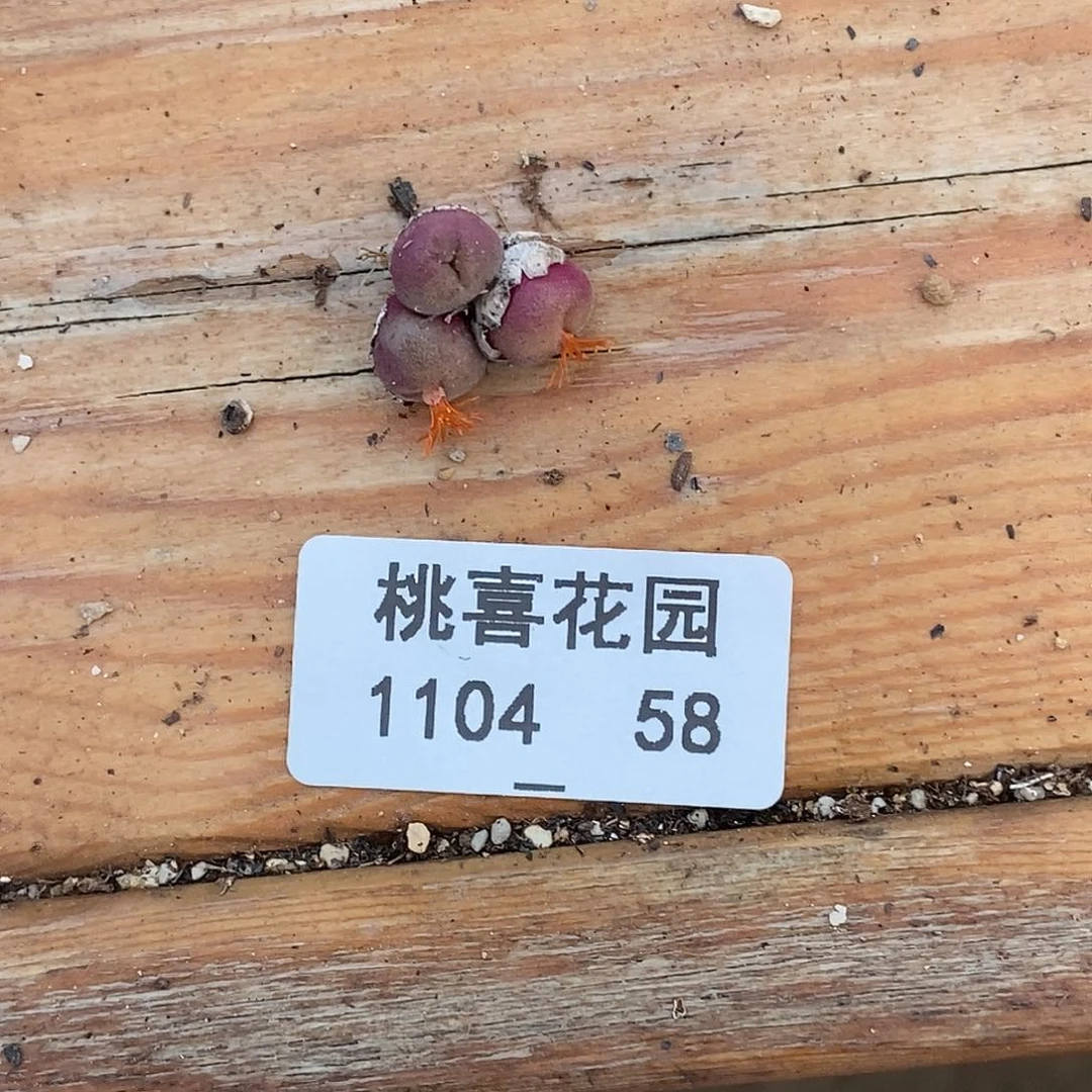 ๓**.104-58-d毛福利。