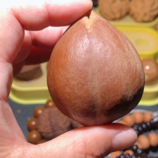 文玩核桃把件微瑕橄榄