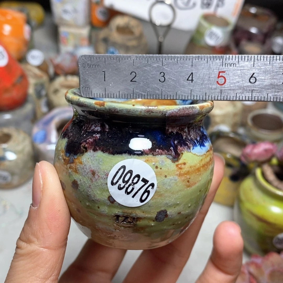 花盆拍5送一个小礼物