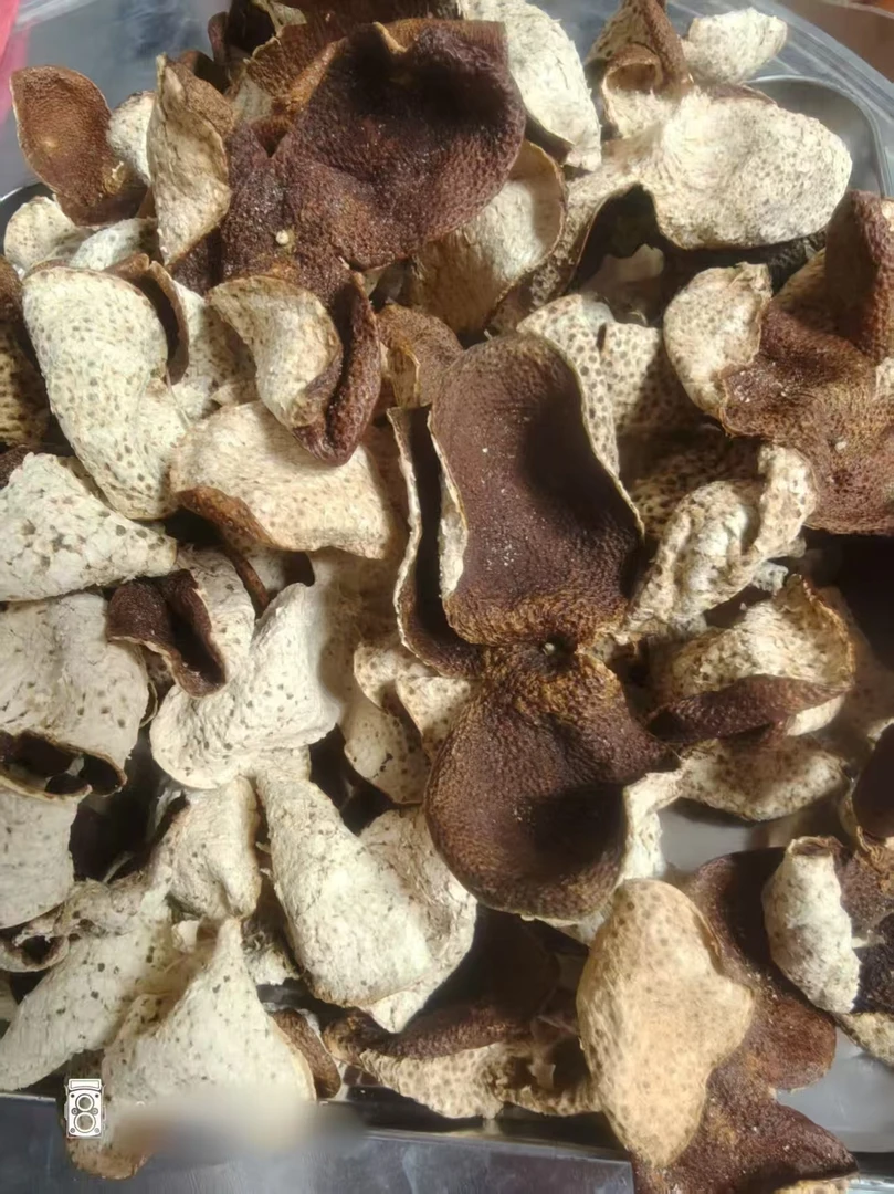 沛哥良陳號2015年深吕断皮陈皮【生晒】1号