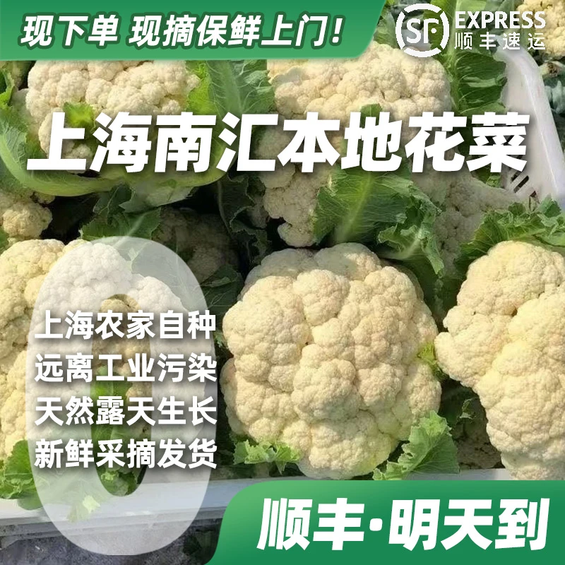 【顺丰·明天到】上海南汇本地有机花菜3斤装