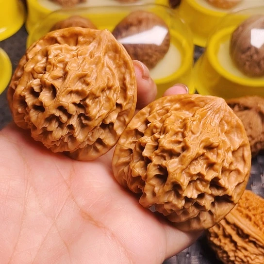 文玩核桃48尺皇家帝王