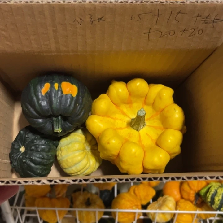 55566666555555555555