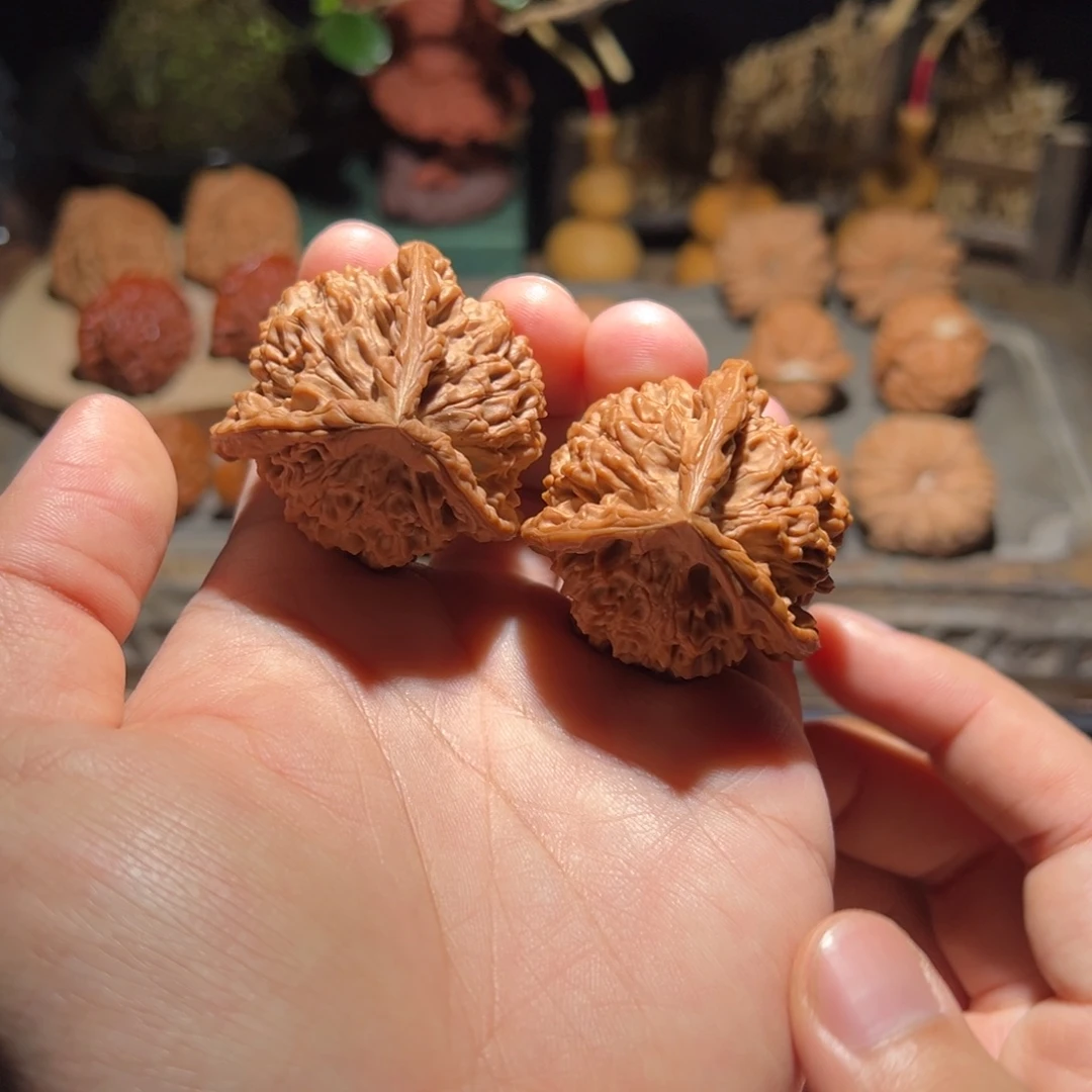 44 全品官帽王勇奔