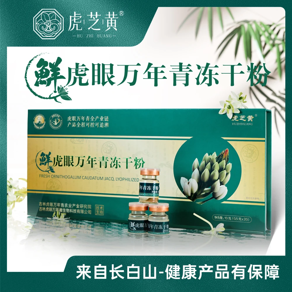 【官方正品】鲜虎眼万年青冻干粉