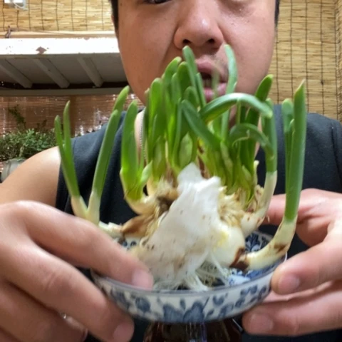 红陶一物一拍所见即所得35