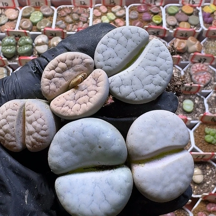 有干点23:：。    3号