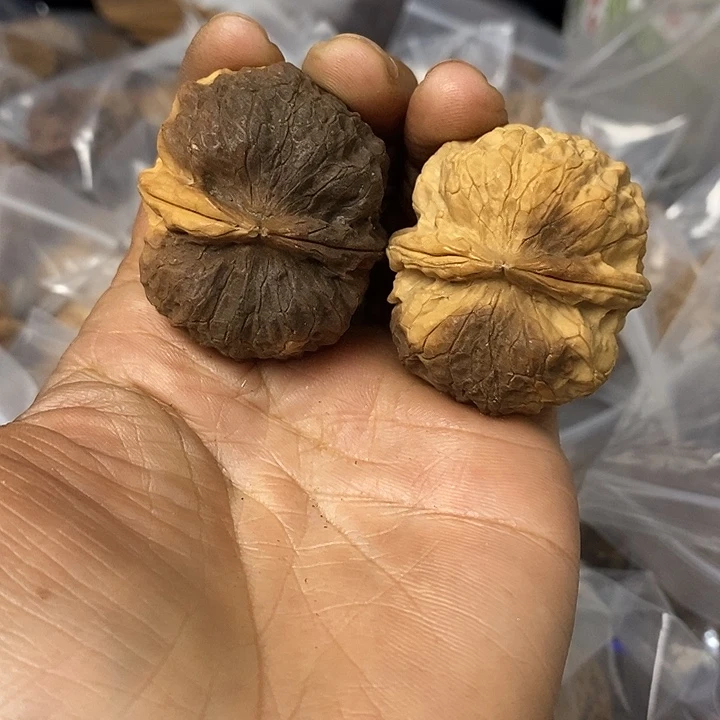 核桃云南铁核桃基地79