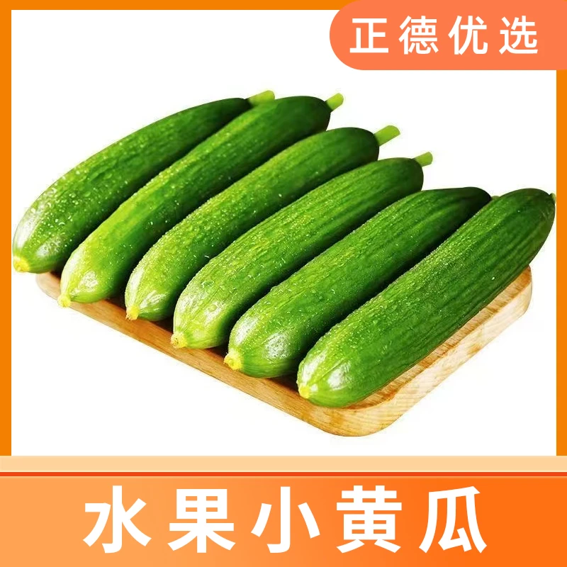 【水果黄瓜】山东寿光新鲜小黄瓜无刺黄瓜农产品2.5斤约6-12个 S