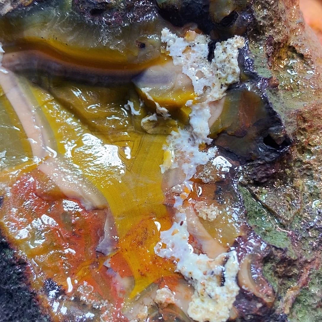 定制玛瑙漫****虹战国红玛瑙