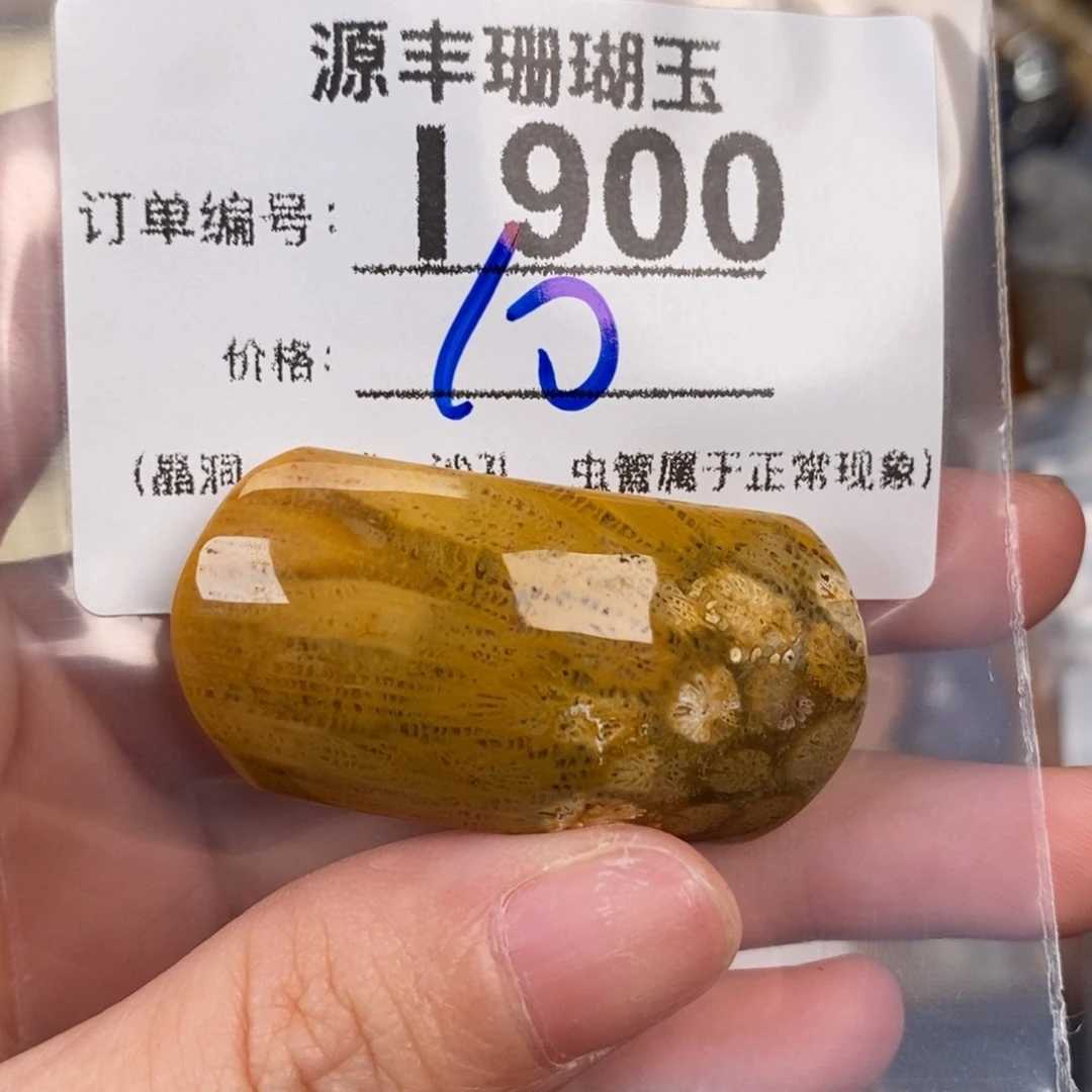 硅化玉颈饰未镶嵌上*北