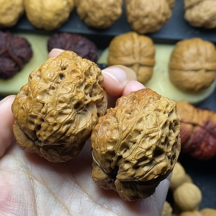 吊坠桃核霸王龙43尺