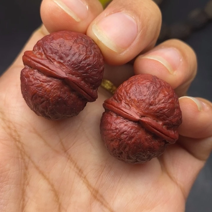 吊坠文玩核桃27尺鸽子蛋