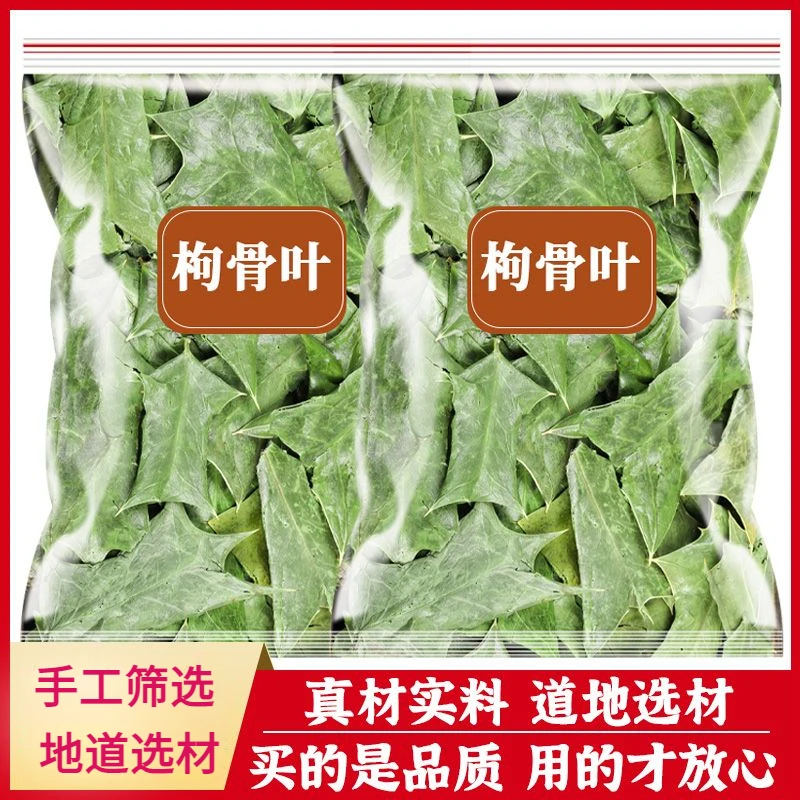 枸骨叶中药材正品功劳叶狗骨草狗骨刺老鼠刺新鲜干货泡茶泡水喝