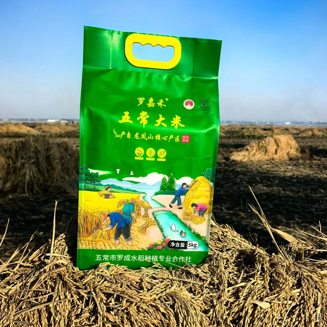 【小温子专属】2025年新米五常稻花香2号10斤真空米砖