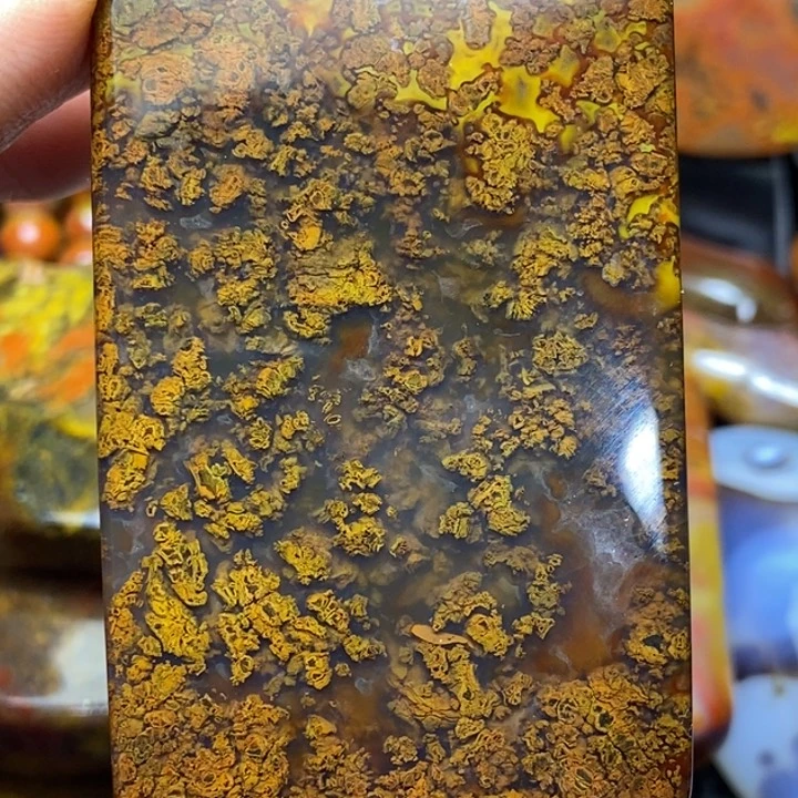 玛瑙/玉髓颈饰未镶嵌草*牛