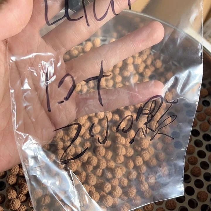 金刚菩提手串u****z200颗