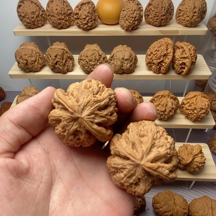 把件核桃44尺全品大粗筋