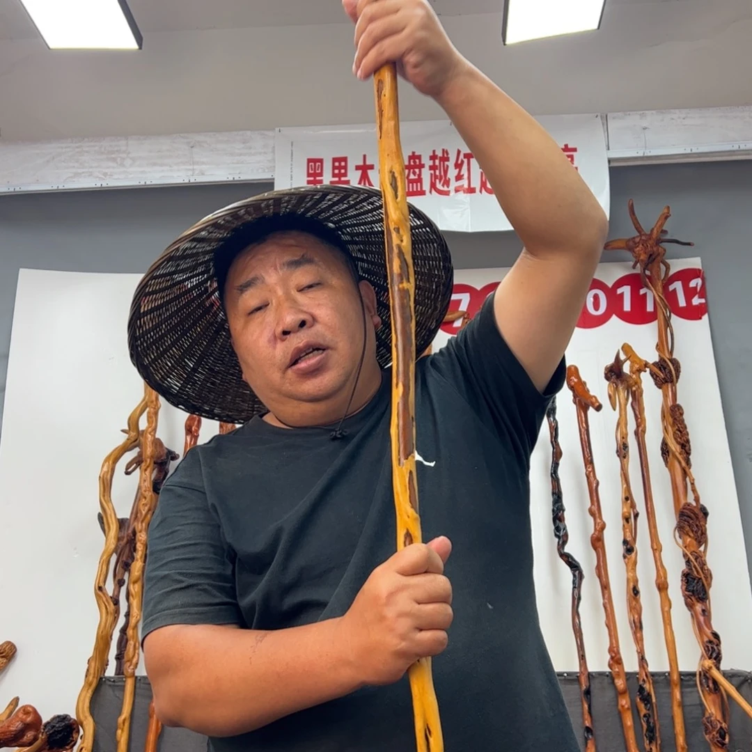 顺***水黑果木其他黑果木230