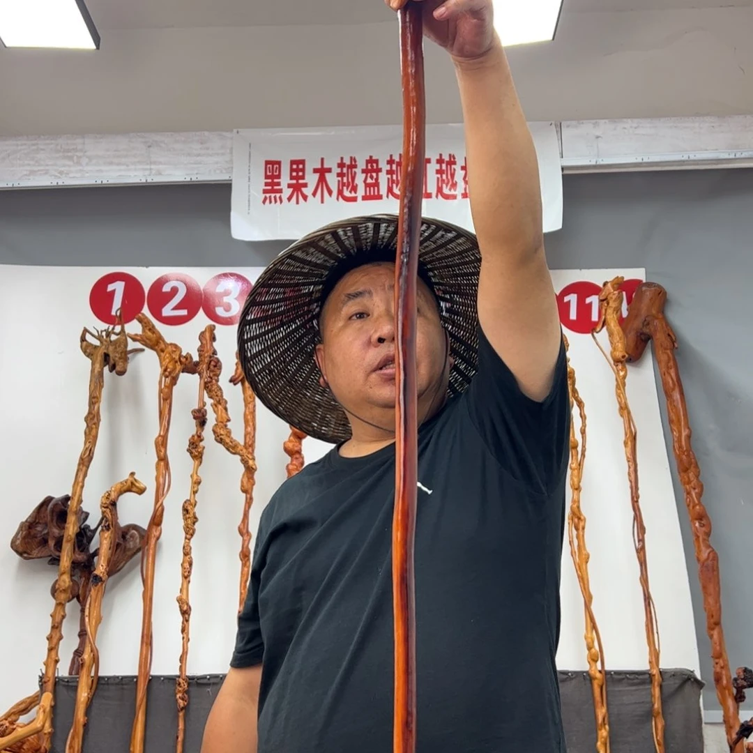 自***然黑果木其他黑果木476