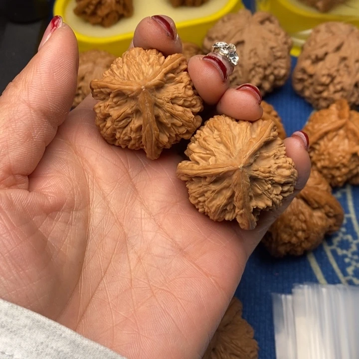 桃核吊坠粗筋御龙37全品